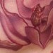 Tattoos - Pink Magnolia Branch tattoo - 47988