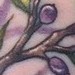 Tattoos - Tiny Olive Branch tattoo - 51808