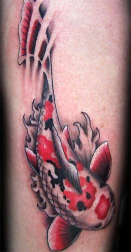 japanese koi tattoos. Tattoos Traditional Japanese