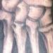 tattoos/ - Top view of the 