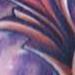 tattoo galleries/ - filagree tattoo