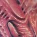 bio organic rib tattoo Tattoo Design Thumbnail