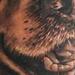 Tattoos - dog tattoo - 60262