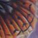 Tattoos - butterfly tattoo - 60261