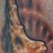 Tattoos - bio organic color tattoo - 73698