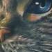 Tattoos - cat portrait tattoo - 65024