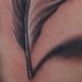 tattoo galleries/ - feather tattoo