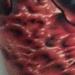 Ty McEwen bio organic leaf  tattoo Tattoo Thumbnail