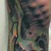 tattoo galleries/ - color bio organic tattoo 