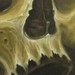 tattoo galleries/ - untitled