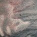 tattoo galleries/ - untitled - 44437
