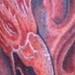 tattoo galleries/ - untitled