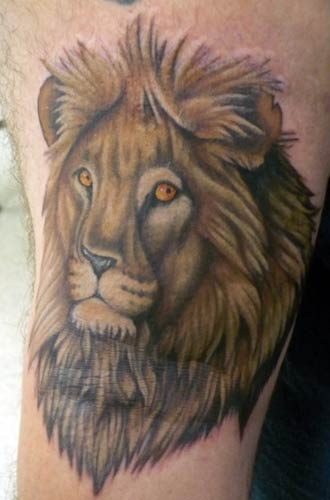 Nature Animal Cat tattoos, cat tattoos. Nature Animal Cat tattoos,