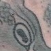 tattoos/ - Black and Gray octopus  - 51711