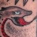 tattoos/ - Custom color serpent tattoo - 51713