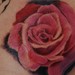 tattoo galleries/ - Rose