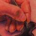 tattoo galleries/ - Hand - 62315