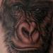tattoo galleries/ - Realistic Gorilla Tattoo