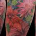 Tattoos - Brooke's flower - 56021