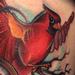 tattoo galleries/ - Cardinal - 63898