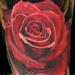Tattoos - Zero Roses - 74420