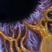 The Edge Of A SOUL Original Art Design Thumbnail