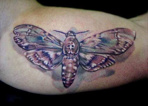 Muriel Zao - Death Head Moth Tattoo