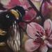 Bee with Flowers close up Original Art Design Thumbnail