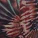 Tattoos - Lionfish Tattoo - 24947