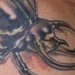 Tattoos - Beetles and Insects Tattoo - 39519