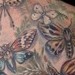 Tattoos - Beetles and Insects Tattoo - 39520