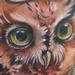 Tattoos - Owl Tattoo - 56675