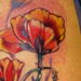 Tattoos - Poppies Tattoo - 17156