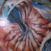 Tattoos - Sealife - 18363
