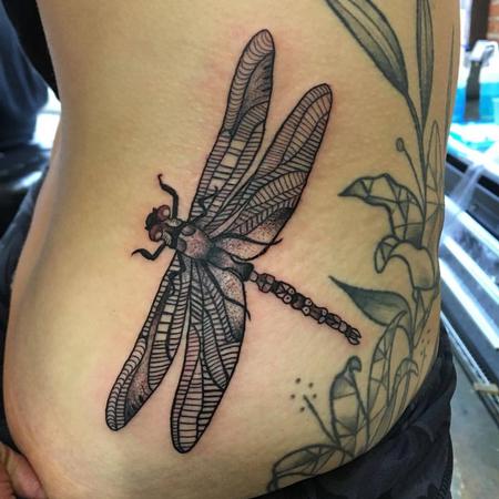 Adam Lauricella - Dragon Fly Tattoo