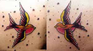 Tattoos - Alex Sherker - Swallows