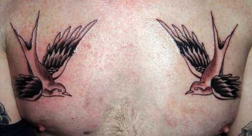 Tattoos - Alex Sherker - Swallows