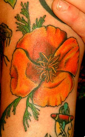 California Poppy Tatoos