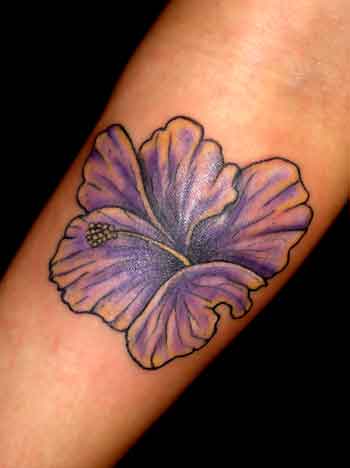 Flower Picture on Worlds Best Tattoos Tattoos Fine Line Purple Hibiscus Flower