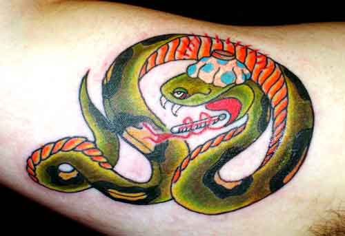 Tattoos - Alex Sherker - Sick Python