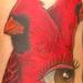 Cardinal Tattoo Thumbnail