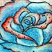 tattoo galleries/ - Blue Rose Tattoo - 4855