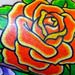Tattoos - Color roses - 5007