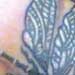 tattoo galleries/ - Dragonfly