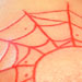 tattoo galleries/ - Elbow Spider Web
