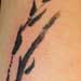 tattoo galleries/ - Skull in the Reeds