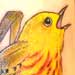 tattoo galleries/ - Yellow Warbler - 28329