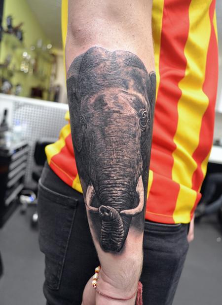 Alan Aldred - Black and Grey Elephant Tattoo