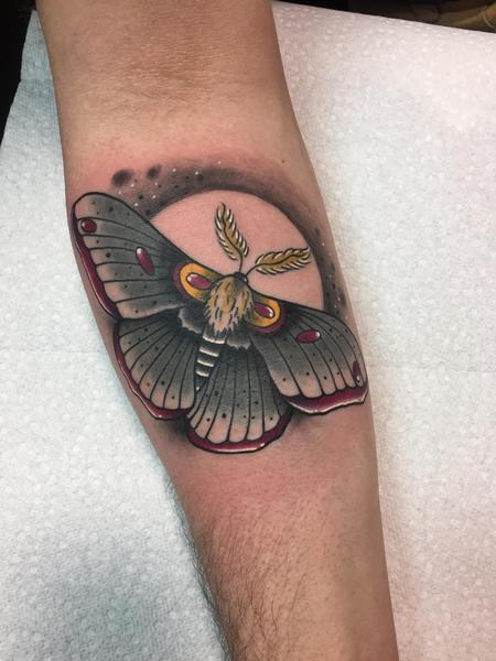 Tattoos - Moth - 132344