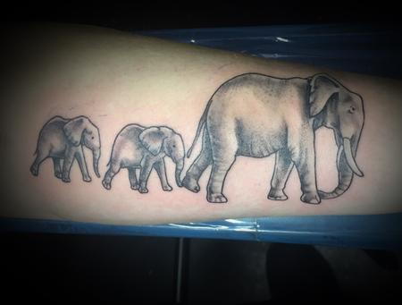 Tattoos - Elephants - 127391